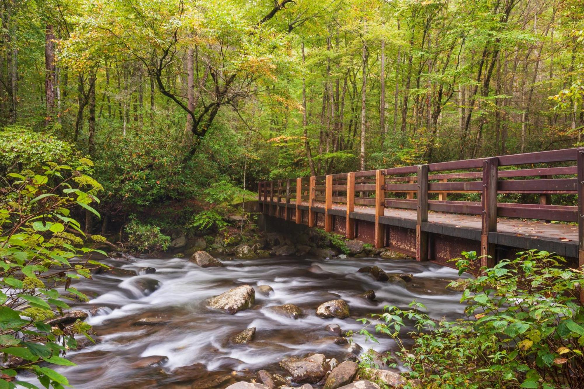 Forever Yours, Hot Tub, 1089 Of Free Attraction Tickets For Each Paid Day, Dollywood And More Піджен-Фордж Екстер'єр фото
